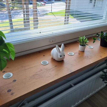 Central Studio - Easy Check-In, Free Parking & Wifi Rovaniemi Extérieur photo