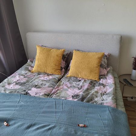 Central Studio - Easy Check-In, Free Parking & Wifi Rovaniemi Extérieur photo